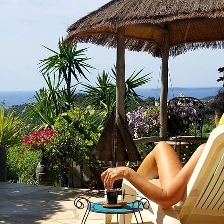 Nouveau ! Chambre D'Hote Insolite Privee " Coeurs De Pirates A Bali En Provence" Spa Sauna Massages Dans Cadre Exotique D'Amenagements Exterieurs D'Exception Ete Comme Hiver Bienvenue !!! Кавалер-сюр-Мер Екстер'єр фото