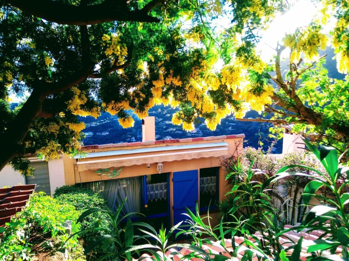 Nouveau ! Chambre D'Hote Insolite Privee " Coeurs De Pirates A Bali En Provence" Spa Sauna Massages Dans Cadre Exotique D'Amenagements Exterieurs D'Exception Ete Comme Hiver Bienvenue !!! Кавалер-сюр-Мер Екстер'єр фото
